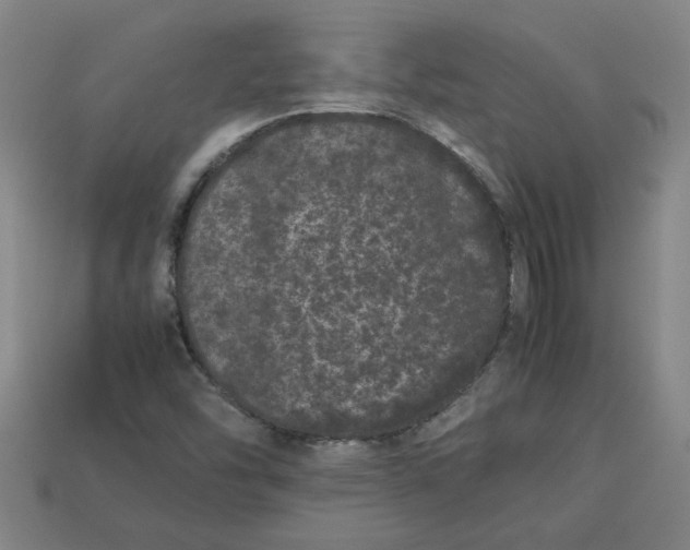 X0000113241454200910011316