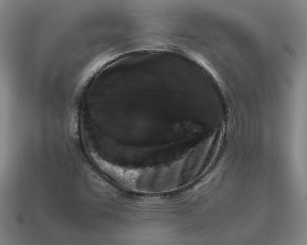 X0000113241455200910011316