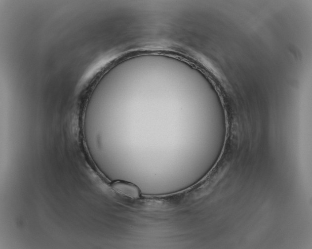 X0000113241456200910011316