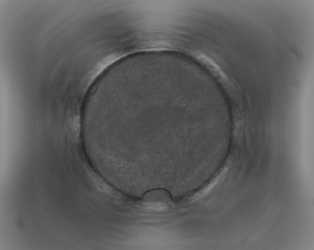 X0000113241457200910011316