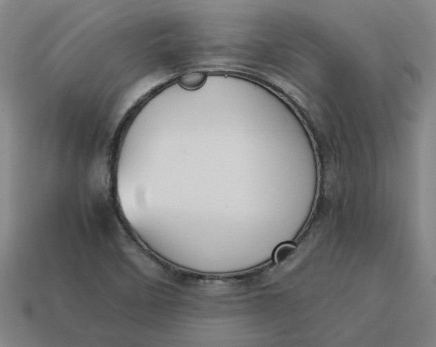 X0000113241458200910011316