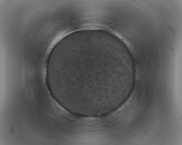 X0000113241459200910011316