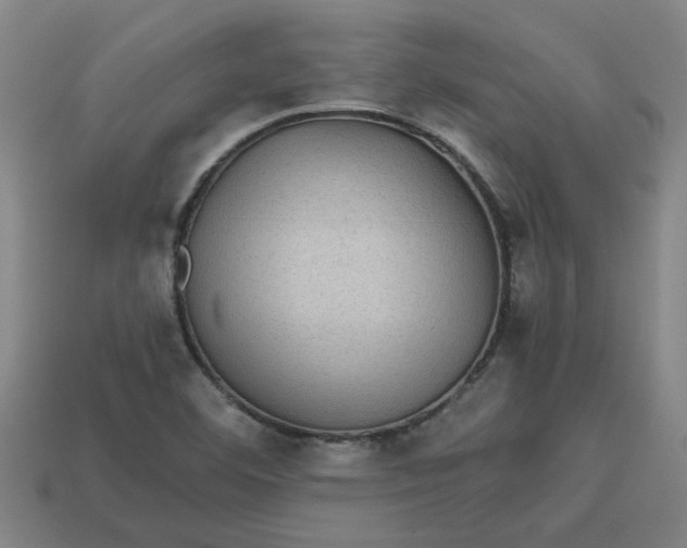 X0000113241460200910011316