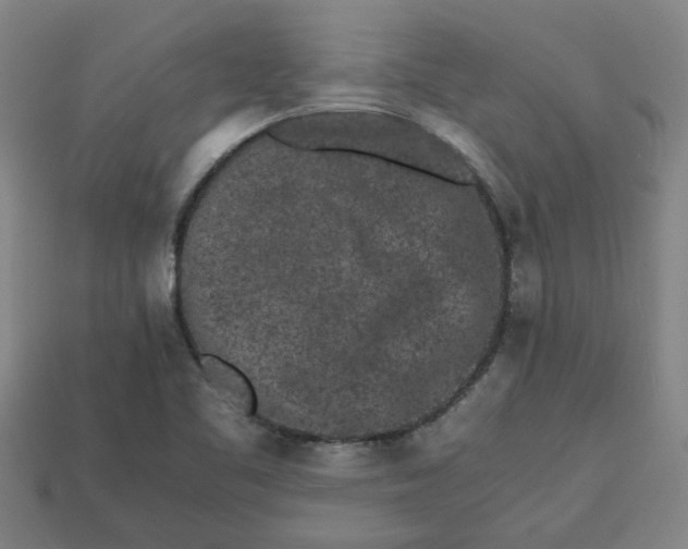 X0000113241461200910011316