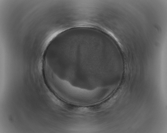 X0000113241463200910011316