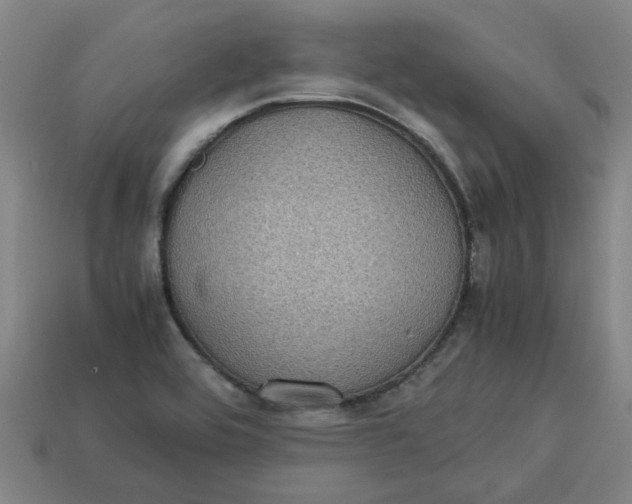 X0000113241464200910011316