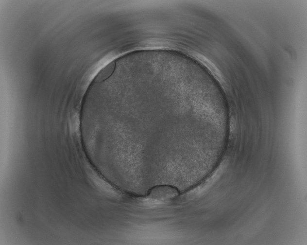 X0000113241465200910011316