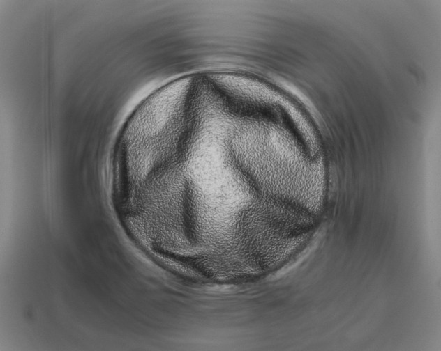 X0000113241467200910011316