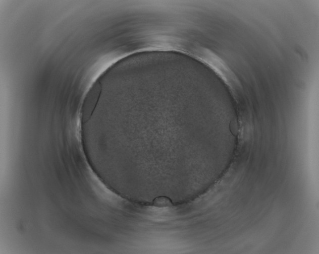 X0000113241468200910011316