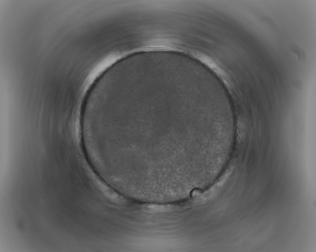 X0000113241469200910011316