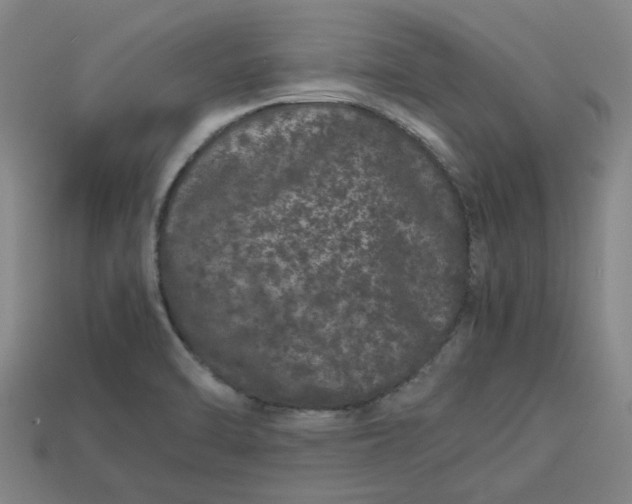 X0000113241470200910011316