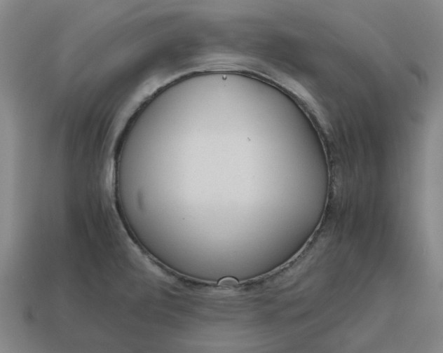 X0000113241472200910011316