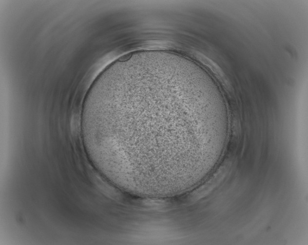 X0000113241473200910011316