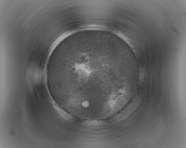 X0000113241474200910011316