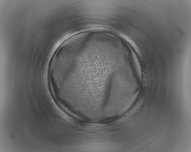 X0000113241475200910011316