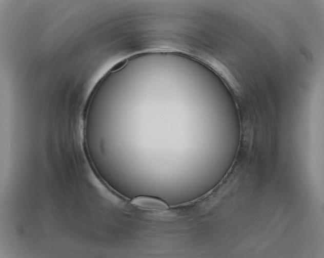 X0000113241476200910011316