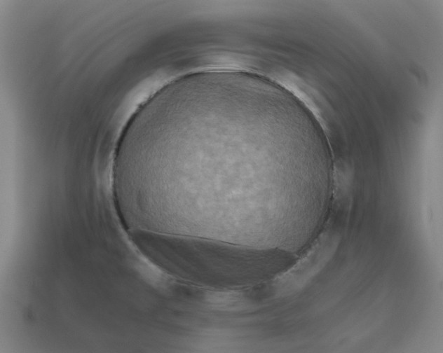 X0000113241477200910011316