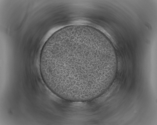 X0000113241478200910011316