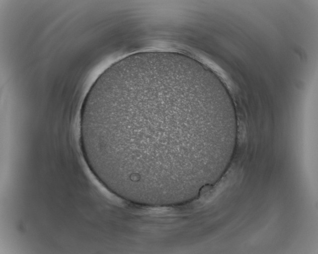 X0000113241479200910011316