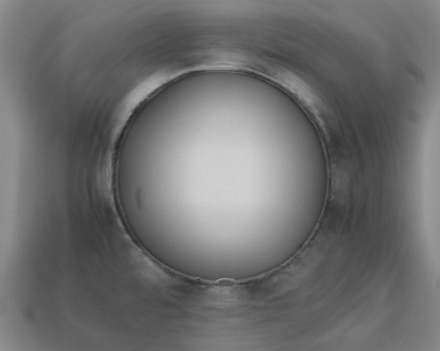 X0000113241480200910011316