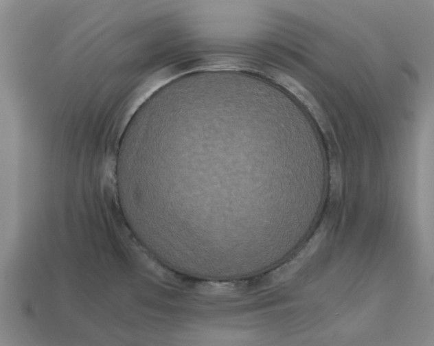 X0000113241481200910011316