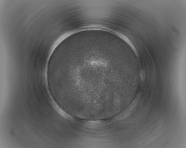 X0000113241482200910011316