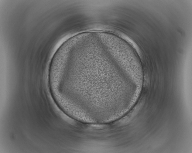 X0000113241483200910011316