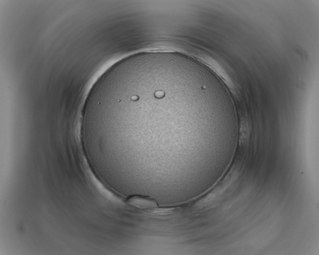 X0000113241484200910011316