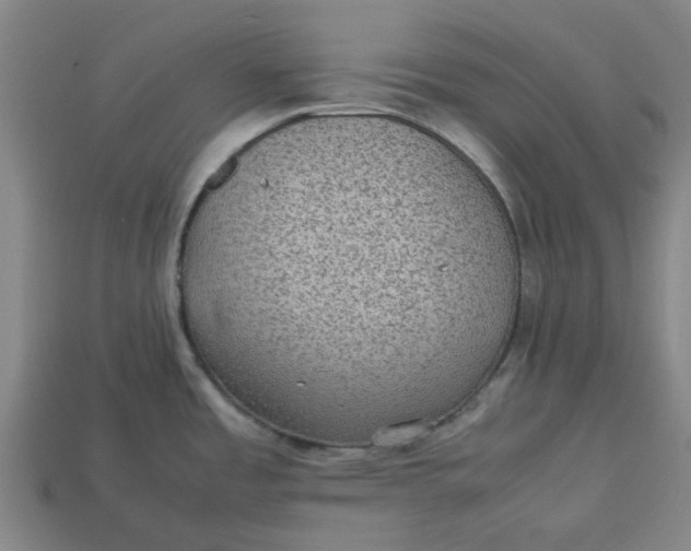 X0000113241485200910011316