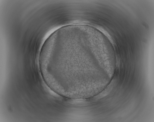 X0000113241486200910011316