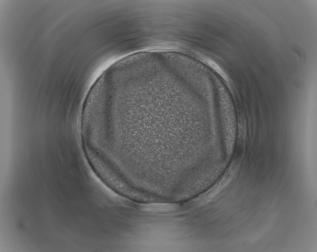 X0000113241487200910011316