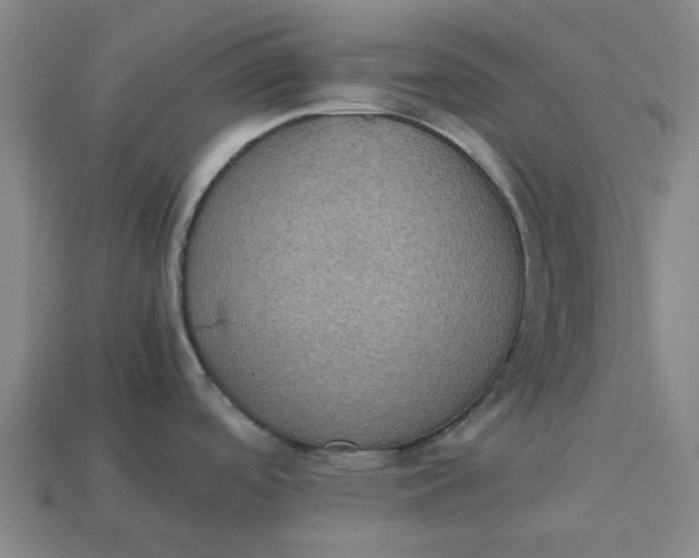 X0000113241488200910011316