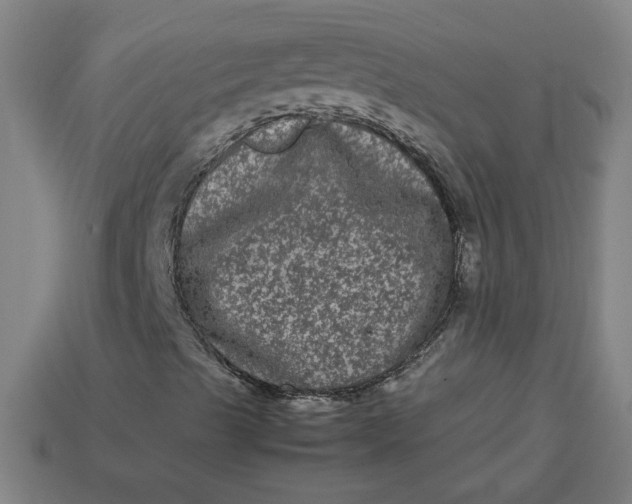 X0000113241489200910011315