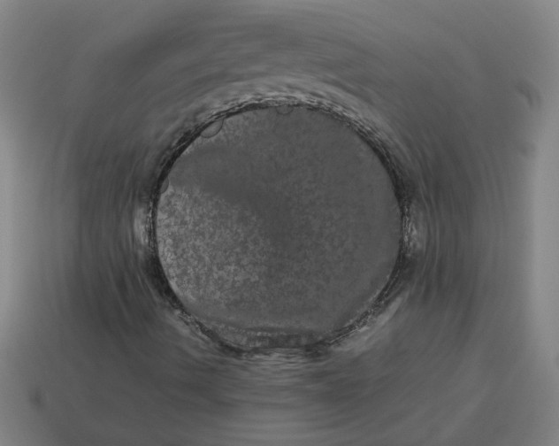 X0000113241490200910011315