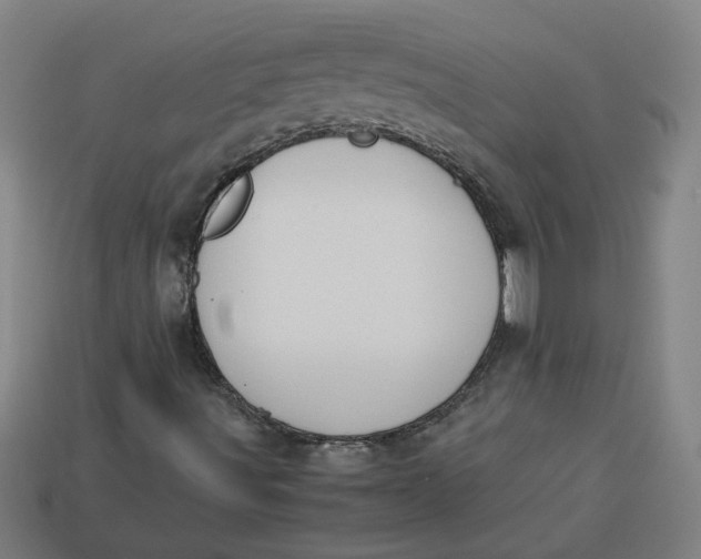 X0000113241491200910011315