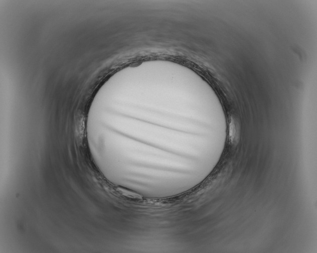 X0000113241492200910011315