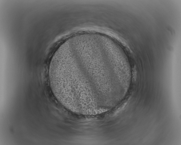 X0000113241494200910011315