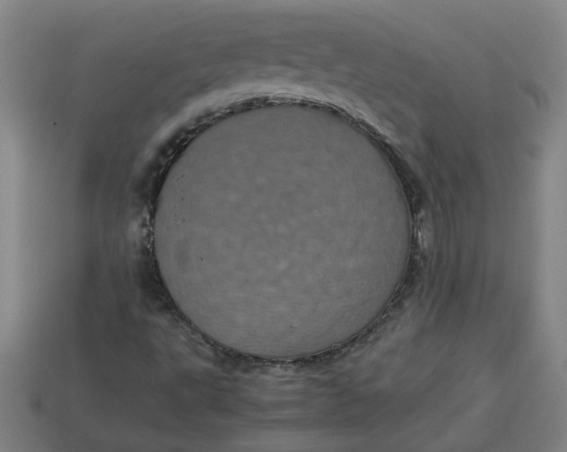 X0000113241495200910011315