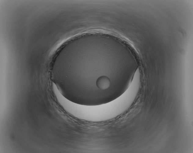 X0000113241496200910011315