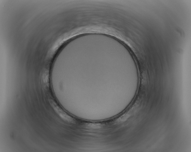 X0000113241499200910011315