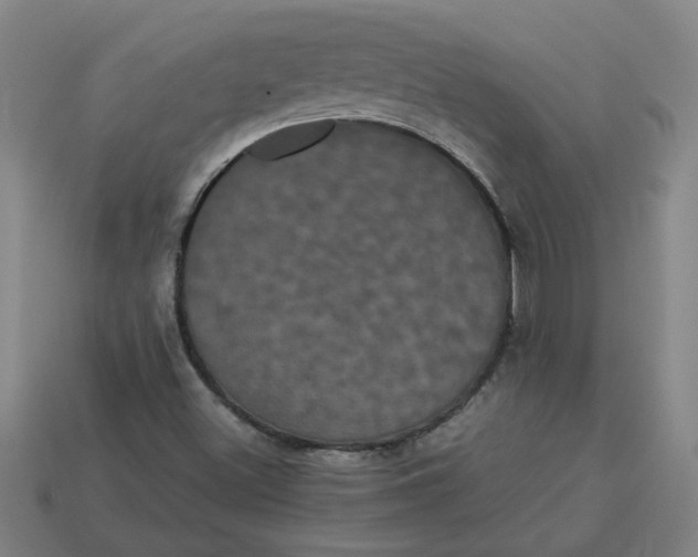 X0000113241500200910011315