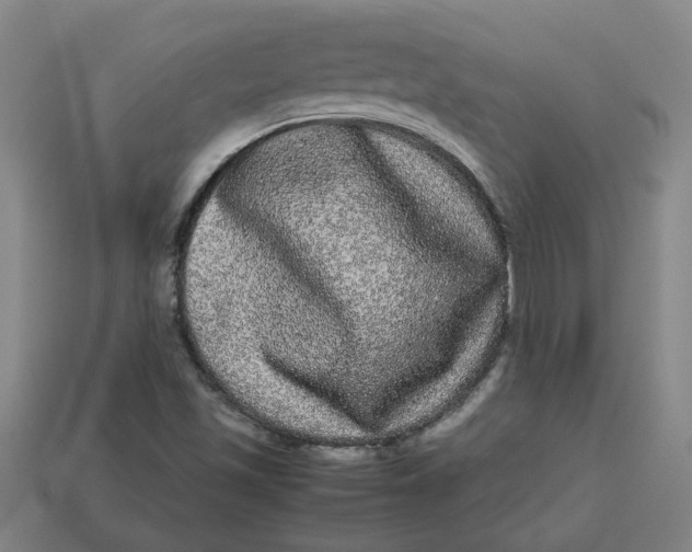 X0000113241501200910011315