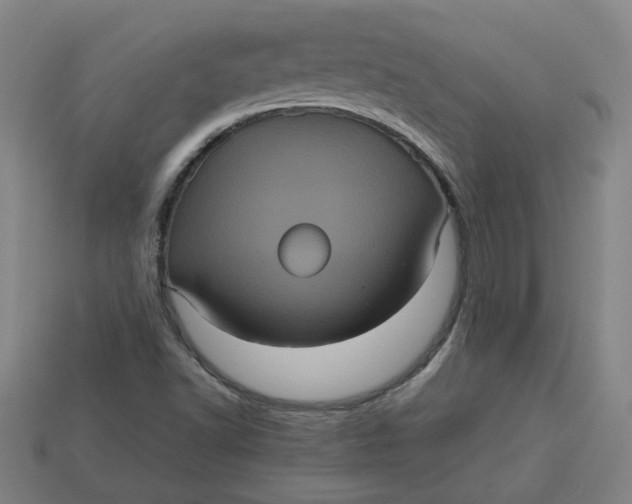 X0000113241502200910011315