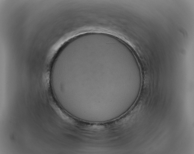 X0000113241503200910011315