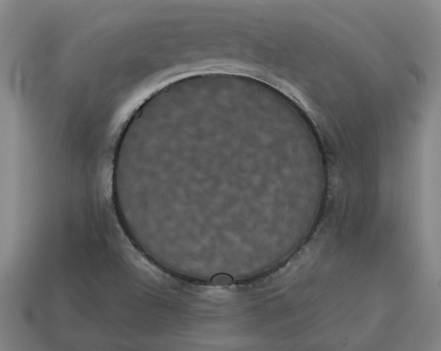 X0000113241504200910011315