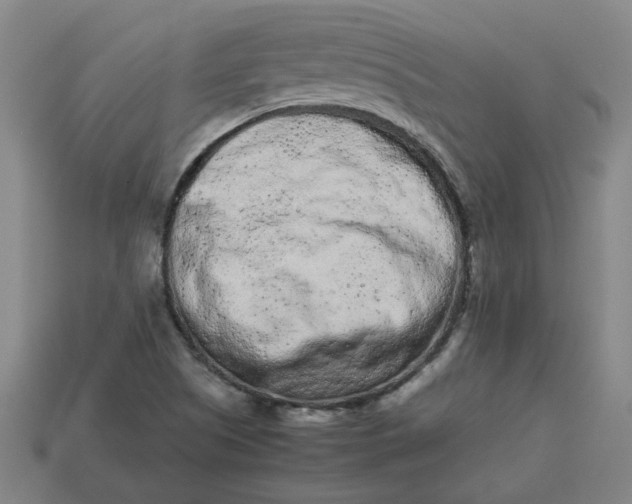 X0000113241505200910011315