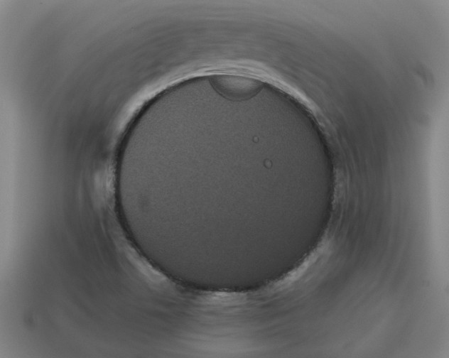 X0000113241506200910011315