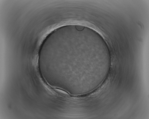 X0000113241507200910011315