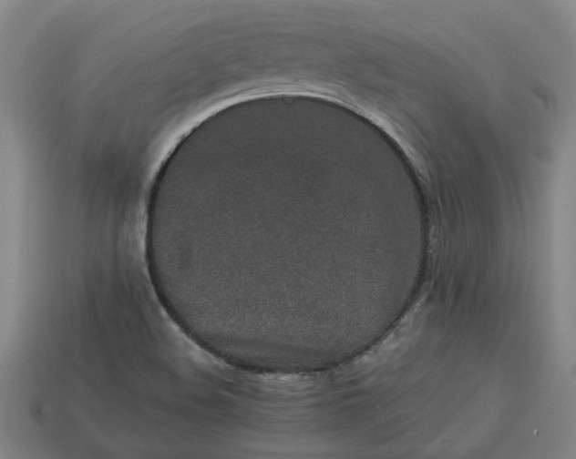 X0000113241508200910011315