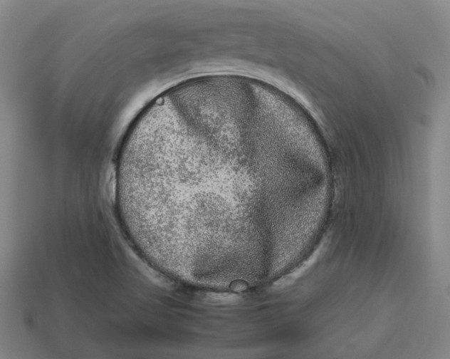 X0000113241509200910011315